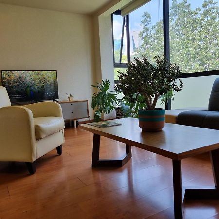 Sinaloa 46 Mexico City Ngoại thất bức ảnh